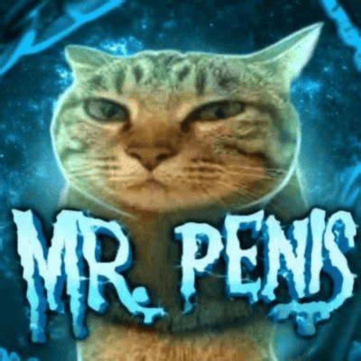 Mr. Peen's 2021 Calendar Funny Peen Calendar Mature Etsy